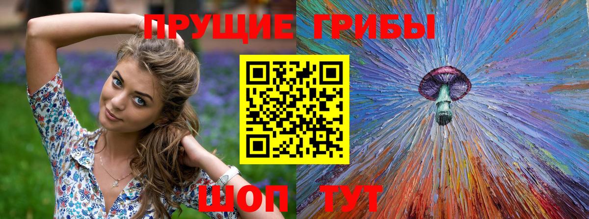 Минеральные Воды  Псилоцибиновые грибы MAGIC MUSHROOMS  Вход с VPN  продажа наркотиков  Псилоцибиновые грибы Psilocybine cubensis 